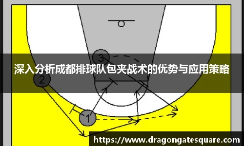 星空·综合体育